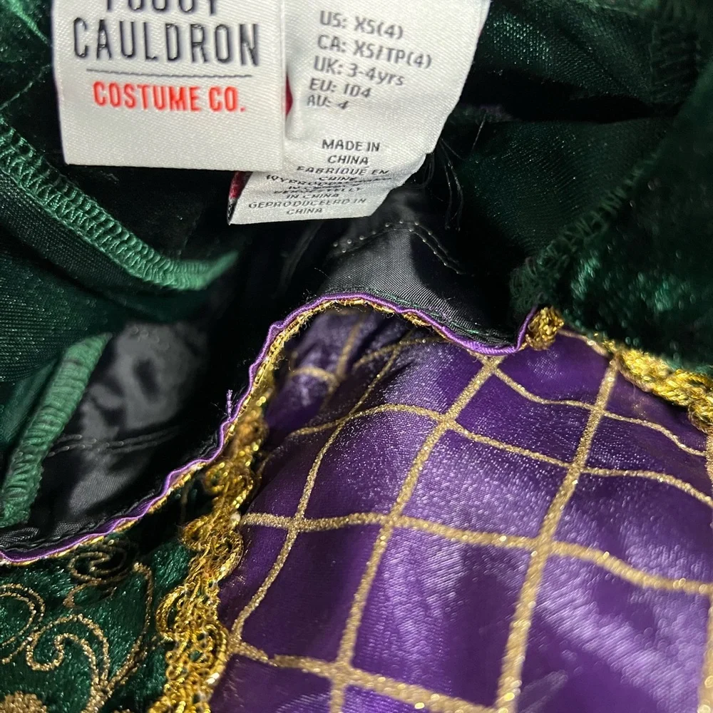 Enchanting Green and Purple‎ Kids Costume.  Halloween